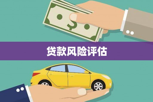 那坡贷款风险评估