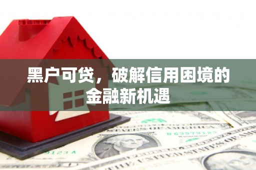 那坡黑户可贷，破解信用困境的金融新机遇