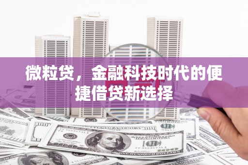 那坡微粒贷，金融科技时代的便捷借贷新选择