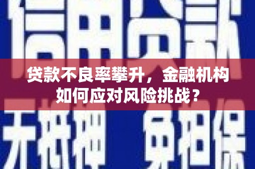 那坡贷款不良率攀升，金融机构如何应对风险挑战？