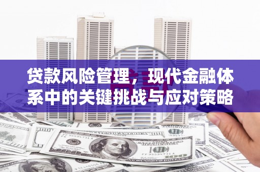 那坡贷款风险管理，现代金融体系中的关键挑战与应对策略