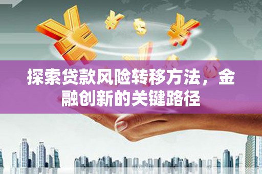 那坡探索贷款风险转移方法，金融创新的关键路径