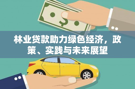 那坡林业贷款助力绿色经济，政策、实践与未来展望