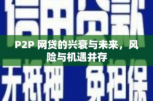 那坡P2P 网贷的兴衰与未来，风险与机遇并存
