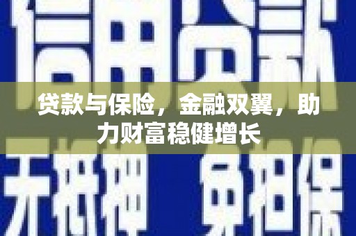 那坡贷款与保险，金融双翼，助力财富稳健增长
