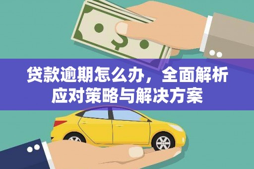那坡贷款逾期怎么办，全面解析应对策略与解决方案