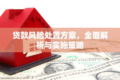 那坡贷款风险处置方案，全面解析与实施策略