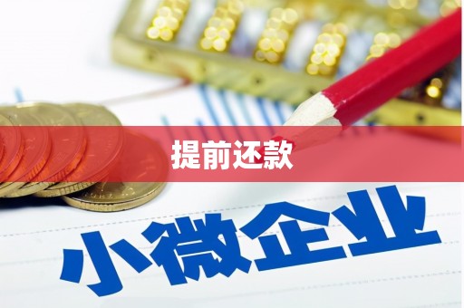 那坡提前还款